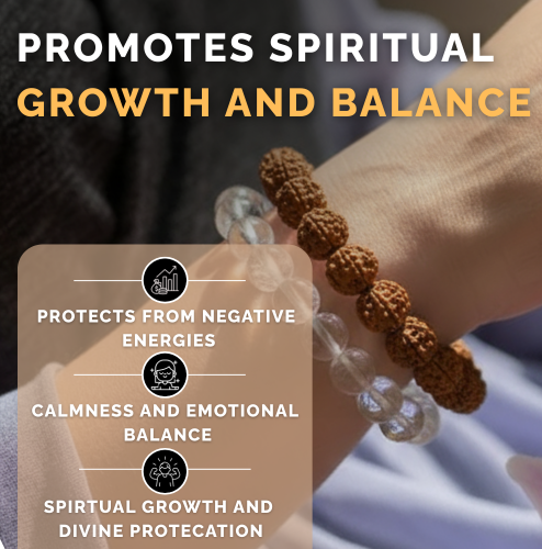 7 Mukhi Rudraksha Bracelets